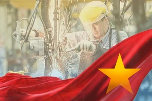 Phát triển kinh tế tư nhân – Đòn bẩy cho một Việt Nam thịnh vượng