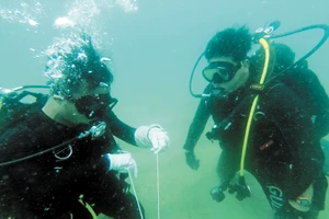 Đặc công người nhái huấn luyện