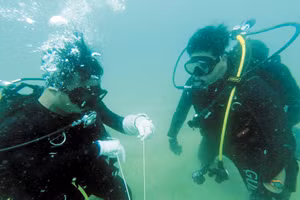 Đặc công người nhái huấn luyện