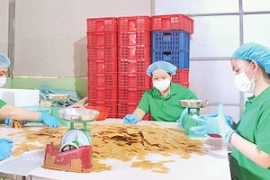 Sản phẩm bánh phồng tôm tại Công ty cổ phần xuất nhập khẩu Vĩnh Hòa Phát.