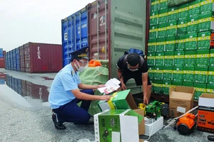 Hải quan Hải phòng kiểm tra thực tế hàng hoá (Ảnh: Nguyễn Lê)