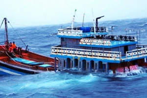 Ảnh minh họa.