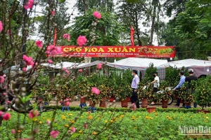 Một chợ hoa xuân tại Hà Nội. (Ảnh: THÀNH ĐẠT)