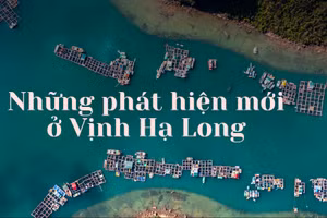 Những phát hiện mới ở Vịnh Hạ Long