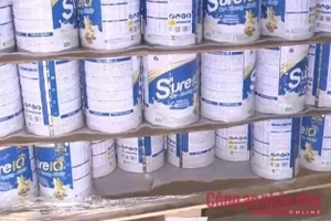 Hàng nghìn hộp sữa bột giả mang nhãn hiệu Sure IQ bị cơ quan Công an thu giữ. (Ảnh: Báo Công an nhân dân)