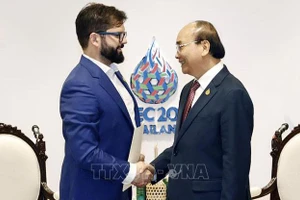 Chủ tịch nước Nguyễn Xuân Phúc gặp Tổng thống Chile Gabriel Boric. (Ảnh: TTXVN)