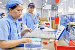 Công nhân tại Công ty TNHH Daiwa Việt Nam, Khu công nghiệp Hòa Khánh, Đà Nẵng. (Ảnh CÔNG VINH)