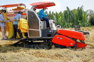 Thị trường cho gạo phát thải thấp