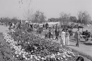 [Ảnh] Những hình ảnh lịch sử của Tết Quý Mão 1963