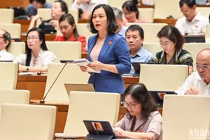 Đại biểu Huỳnh Thị Phúc (đoàn Bà Rịa-Vũng Tàu) góp ý kiến vào dự thảo Luật trong phiên thảo luận ở hội trường sáng 24/6. (Ảnh: DUY LINH)