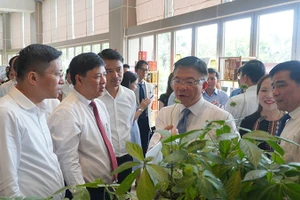 Phó Thủ tướng Chính phủ Lê Thành Long cùng lãnh đạo tỉnh Quảng Nam tham quan gian hàng sâm Ngọc Linh trưng bày tại hội nghị.