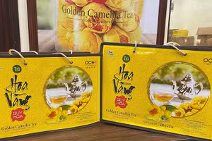 Trà hoa vàng Quy Hoa, Quảng Ninh, sản phẩm OCOP 5 sao. (Ảnh: quyhoatra.com.vn)