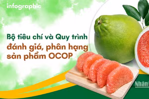 [Infographic] Bộ tiêu chí và Quy trình đánh giá, phân hạng sản phẩm OCOP 