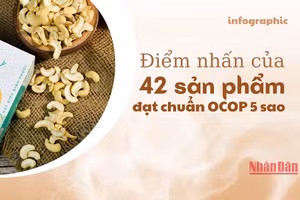 [Infographic] Điểm nhấn của 42 sản phẩm đạt chuẩn OCOP 5 sao