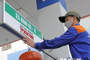 (Ảnh minh họa: TTXVN)