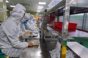 (Ảnh minh họa: GIANG KHÔI)