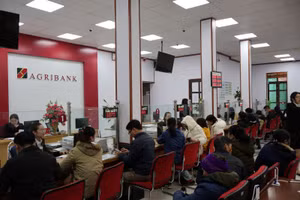 Giao dịch khách hàng tại chi nhánh ngân hàng Agribank