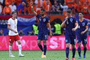 Tiền đạo Cody Gakpo ăn mừng sau khi gỡ hòa 1 đều cho đội tuyển Hà Lan. (Ảnh: Getty Images)