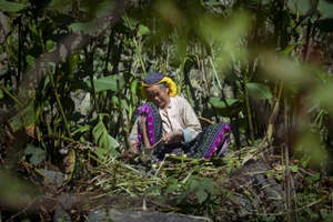 [Video] Tìm tới "Làng địa ngục" trong mây