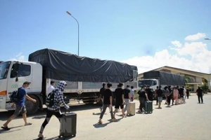 (Ảnh minh họa: TTXVN)