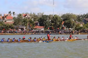 Các đội trên đường đua.