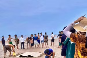 Tai nạn đuối nước cảnh báo cần theo sát, hướng dẫn, giúp đỡ trẻ em.