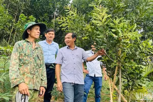 Chương trình Mỗi xã một sản phẩm hỗ trợ người dân miền núi phát triển kinh tế hộ gia đình.