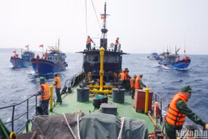 Nhiều tàu thuyền của ngư dân cùng các lực lượng tham gia tìm kiếm thuyền viên mất tích