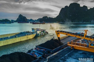 Trong tháng 5 vừa qua, TKV đã hoàn thành vượt mức kế hoạch sản xuất, kinh doanh, tiếp tục giữ vững, duy trì nhịp độ sản xuất ở mức cao.