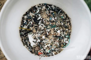 Vi nhựa (những mảnh nhựa siêu nhỏ) đã xâm nhập vào các hệ sinh thái môi trường, thậm chí là cơ thể con người. 