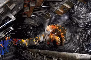 Năm 2023, TKV có hơn 9.000 thợ lò thu nhập hơn 300 triệu đồng/năm, chiếm 38% tổng số thợ lò, tăng 30% so với năm 2022, nhiều lao động đạt ngưỡng 600 triệu đồng/năm.