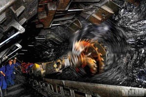 Năm 2023, TKV có hơn 9.000 thợ lò thu nhập hơn 300 triệu đồng/năm, chiếm 38% tổng số thợ lò, tăng 30% so với năm 2022, nhiều lao động đạt ngưỡng 600 triệu đồng/năm.