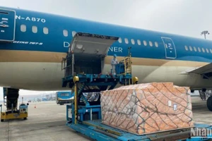 Hãng hàng không Vietnam Airlines vừa vận chuyển gần 30 tấn hàng hóa cứu trợ sang Myanmar nhằm giúp đỡ nước bạn vượt qua thảm họa động đất.
