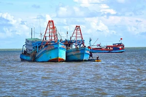 Tỉnh Cà Mau đang tăng cường kiểm soát tàu thuyền trước tình hình thời tiết xấu. 