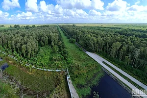 Vườn Quốc gia U Minh hạ có hơn 8.500ha rừng tràm được bảo vệ nghiêm ngặt nhưng hiện đã có hơn 4.800ha cảnh báo cháy cấp 5.