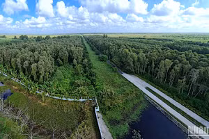 Vườn Quốc gia U Minh hạ có hơn 8.500ha rừng tràm được bảo vệ nghiêm ngặt nhưng hiện đã có hơn 4.800ha cảnh báo cháy cấp 5.