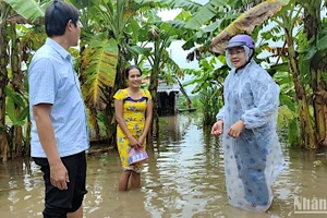 Đại diện cấp ủy, chính quyền xã Trần Hợi (huyện Trần Văn Thời, tỉnh Cà Mau) đến thăm hỏi hộ dân có nhà cửa, cây trồng, vật nuôi bị ảnh hưởng do ngập.