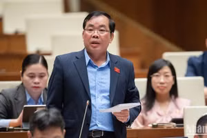 Đại biểu Quốc hội cho ý kiến về dự án Luật Đất đai (sửa đổi) tại hội nghị đại biểu hoạt động chuyên trách hồi tháng 4 vừa qua. (Ảnh: DUY LINH)