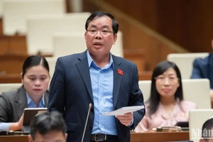 Đại biểu Quốc hội cho ý kiến về dự án Luật Đất đai (sửa đổi) tại hội nghị đại biểu hoạt động chuyên trách hồi tháng 4 vừa qua. (Ảnh: DUY LINH)