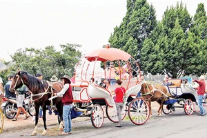 Những chiếc xe ngựa được thiết kế mỹ thuật thu hút du khách.
