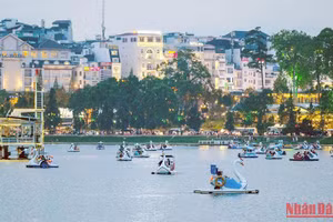 Dịch vụ xe đạp nước trên Hồ Xuân Hương (Đà Lạt) thu hút du khách.