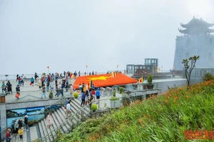 Lá cờ Tổ quốc rộng 150m2, được kết bằng 150 nghìn bông hoa hồng đỏ thắm trên đỉnh Phan Xi Păng, dịp 2/9 năm nay.