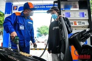 (Ảnh minh họa: THÀNH ĐẠT)