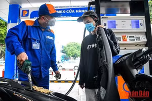 (Ảnh minh họa: THÀNH ĐẠT)