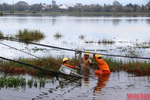 Tập trung khắc phục sự cố, sớm cấp điện phục vụ sản xuất và đời sống