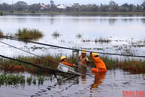 Tập trung khắc phục sự cố, sớm cấp điện phục vụ sản xuất và đời sống