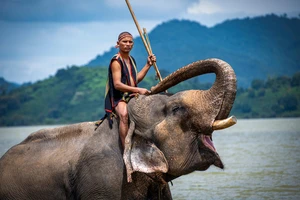 Thanh niên Mnông cưỡi voi. (Ảnh: Thành Đạt)