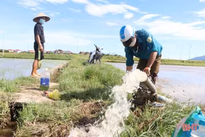 Ảnh minh họa: Ông Bùi Công Lãnh, thôn Liên Công, xã Đồng Môn (TP Hà Tĩnh) sử dụng máy bơm để “ép” nước ra khỏi ruộng nhanh hơn. (Nguồn: Báo Hà Tĩnh)