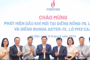 PVN công bố 2 phát hiện dầu khí mới tại mỏ Rồng và mỏ Bunga Aster.