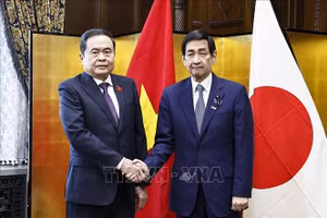 Chủ tịch Quốc hội Trần Thanh Mẫn và Chủ tịch Thượng viện Nhật Bản Sekiguchi Masakazu. Ảnh: Doãn Tấn/TTXVN